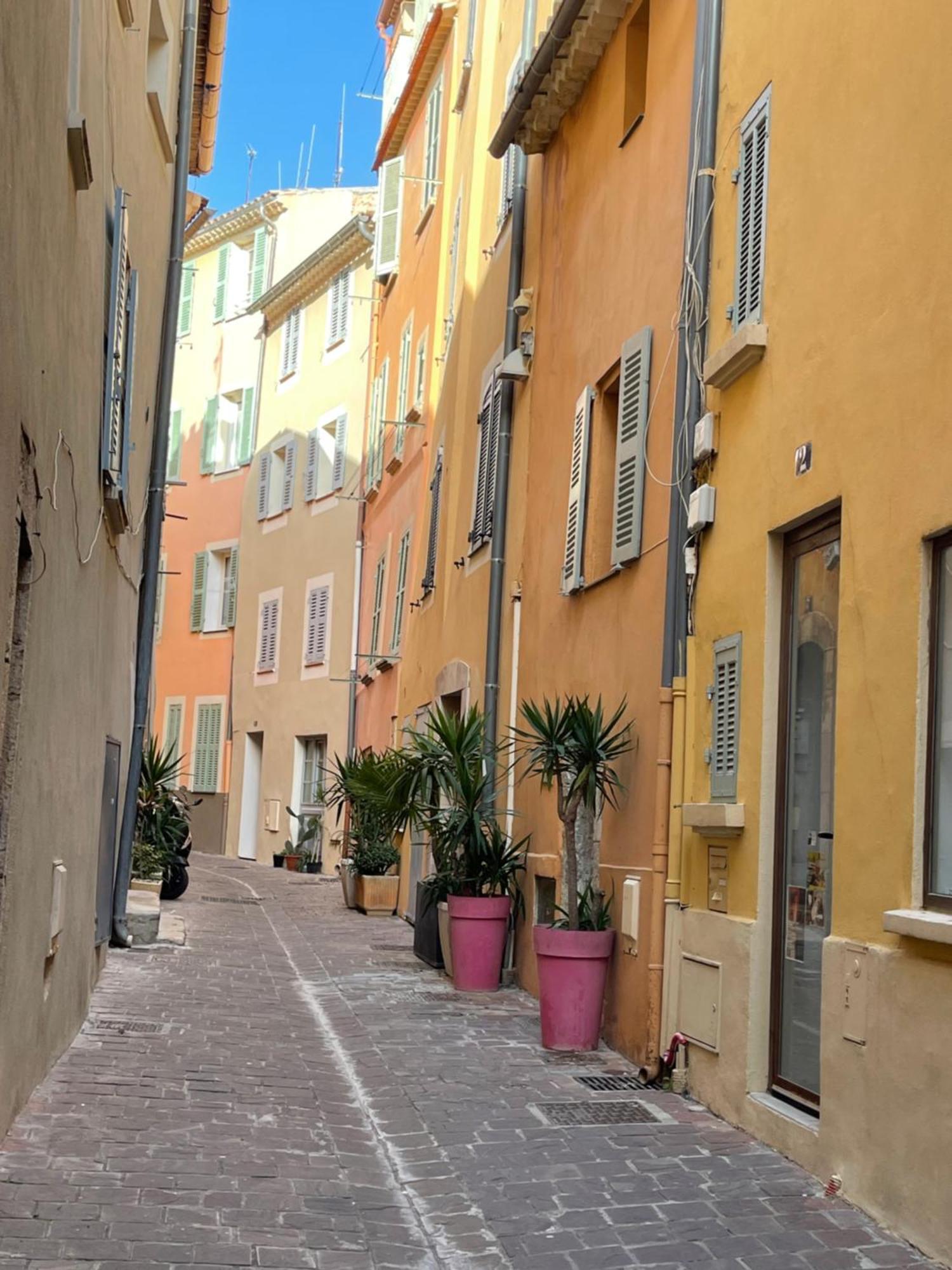 Le Palmae, Serenite Et Charme En Coeur De Ville