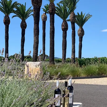 Le Palmae, Serenite Et Charme En Coeur De Ville Hyères Buitenkant foto